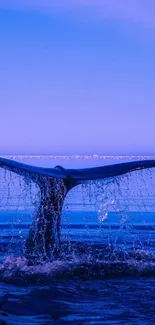 Whale tail splashing in the blue ocean at sunset.