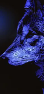 Artistic blue wolf design on dark background wallpaper.