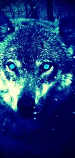 Blue-tinted wolf with piercing eyes in snowy forest wallpaper.