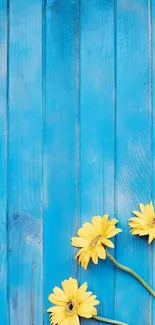 Blue wooden background with yellow daisies in corner.