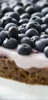 Close-up of a delicious blueberry-topped chocolate cake.