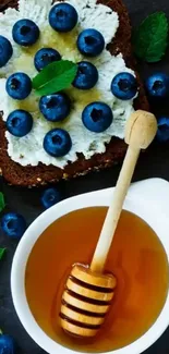 Blueberry toast with honey and mint leaves on a dark background.