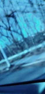 Blurred image of a roadside with trees and a streetlamp in blue tones.