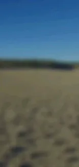 Blurry beach landscape with blue sky.