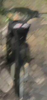 Blurry image of a motorcycle in motion on a forest path.