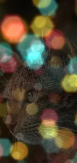 Mobile wallpaper of a cat with colorful bokeh lights.