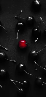 Dark cherries with one vibrant red cherry on a black background.