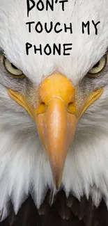 Close-up of an eagle with text 'Don't Touch My Phone'.