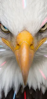 Majestic bald eagle closeup with striking gaze and colorful accents.