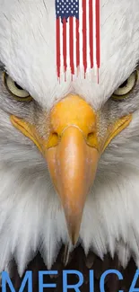 Bald eagle with flag design and 'MERICA' text.