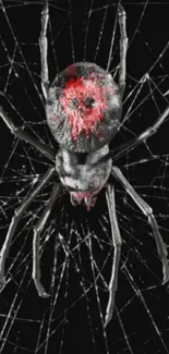 Realistic black and red spider on detailed web phone wallpaper.