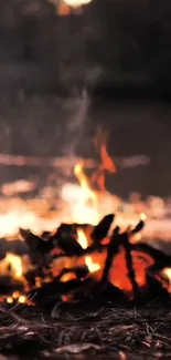 Bonfire Ash Fire Live Wallpaper