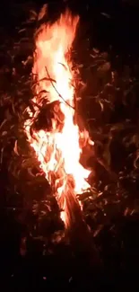 Bonfire Fire Flame Live Wallpaper