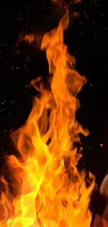 Bonfire Fire Flame Live Wallpaper