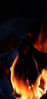 Bonfire Fire Flame Live Wallpaper