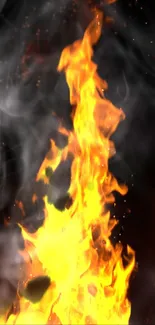 Bonfire Fire Flame Live Wallpaper