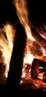 Bonfire Fire Flame Live Wallpaper