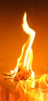 Bonfire Orange Flame Live Wallpaper