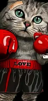 Adorable cat wearing red boxing gloves and shorts, playful mobile wallpaper.