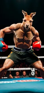 Humorous boxing kangaroo mobile wallpaper in a lively ring setting.