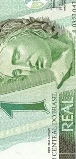 Detailed design of a Brazilian one real note art.