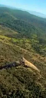 Aerial view of lush green mountains and landscape.