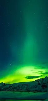 Vibrant green aurora under starlit night sky.