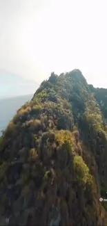 Coastal cliff with lush greenery against a blue sky.