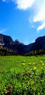 Vibrant mountain landscape with blue sky and green fields.