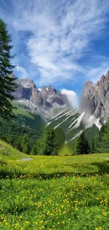 Mobile wallpaper of a vibrant alpine meadow and mountains under a clear blue sky.