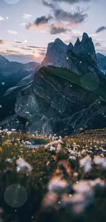 Majestic sunset over dramatic mountain peaks with flowers in the foreground.