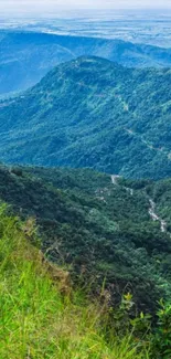 Panoramic mountain view with lush greenery on mobile wallpaper.