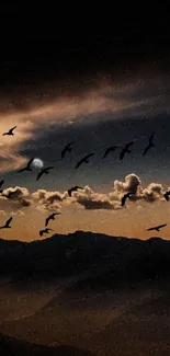 Night sky with birds silhouetted against clouds.