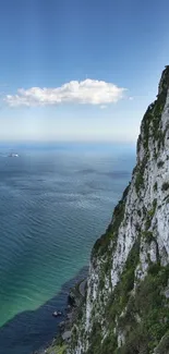 Vertical cliff overlooking a serene ocean under a bright blue sky.