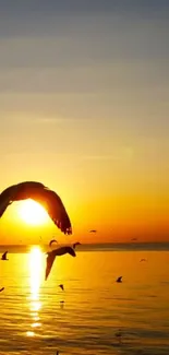 Seagulls soaring over a serene ocean sunset.