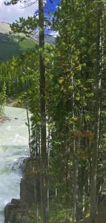 Lush forest with cascading river and mountains background.