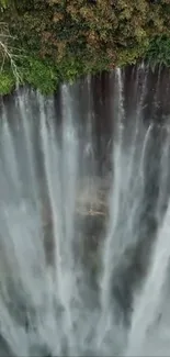 Majestic waterfall cascading over lush forest cliff.