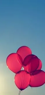 Pink balloons floating against a clear blue sky.