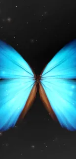 Electric blue butterfly on a cosmic dark background, perfect for mobile wallpaper.