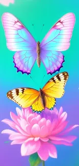 Colorful butterflies atop vibrant flowers in a stunning mobile wallpaper.