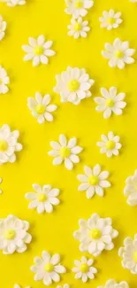 Yellow wallpaper with scattered white daisies design.