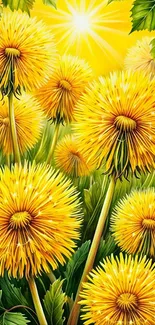Artistic yellow dandelions with green leaves in sunlight.