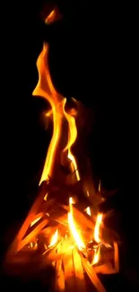 Burning wood flames against dark background in a vibrant live wallpaper.