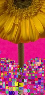 Yellow daisy above colorful pattern with pink background.