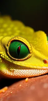 Close-up of a vibrant green and yellow gecko on a tree branch, perfect for mobile wallpaper.