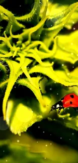 Red ladybug on a vivid green leaf with bright details, perfect for nature wallpaper.