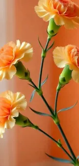 Orange carnations on a whimsical background.