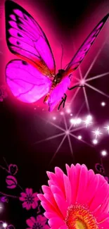 Vibrant pink butterfly with flower and stars wallpaper.