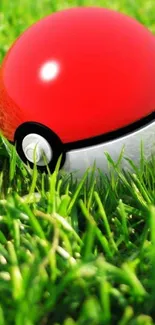 Red Pokeball nestled in green grass.