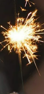 A hand holding a bright, glowing sparkler against a blurred background.